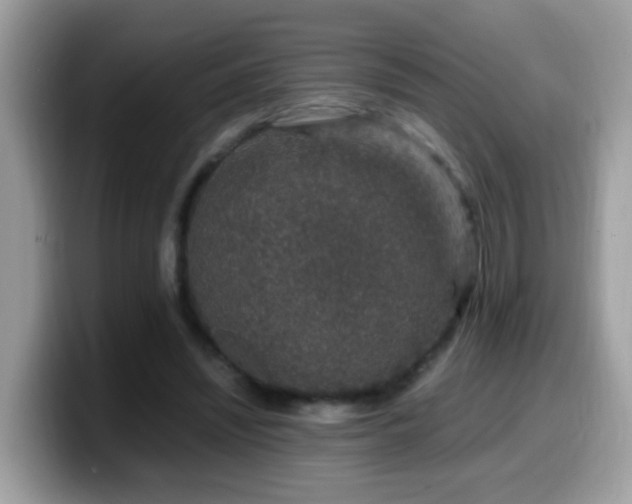 X0000099990444200805301416