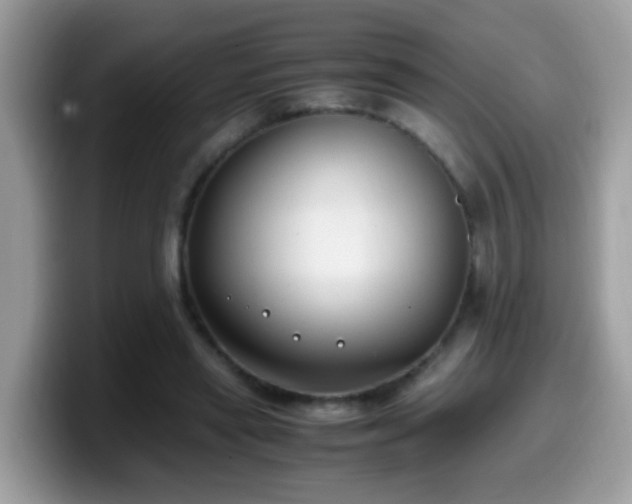 X0000099990445200805301416