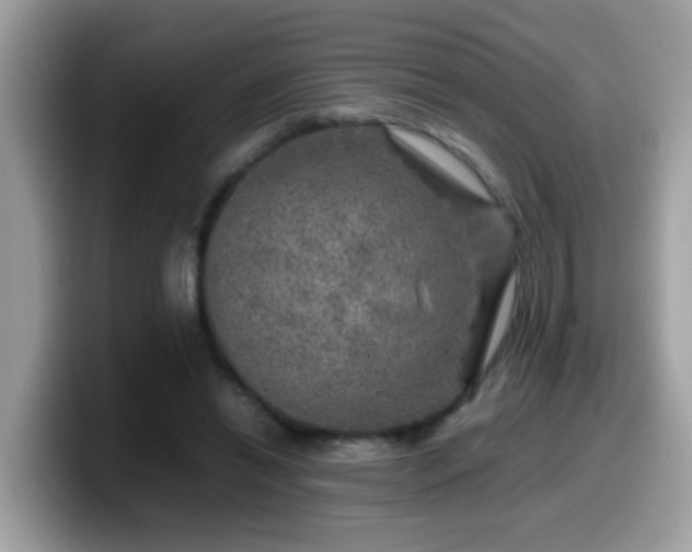X0000099990446200805301416