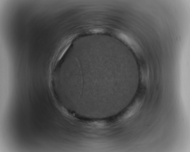X0000099990447200805301416
