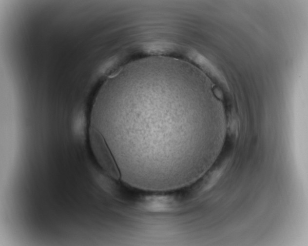 X0000099990448200805301416