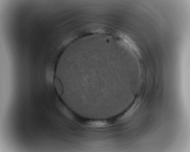 X0000099990449200805301416