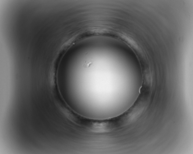 X0000099990450200805301416