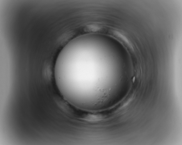 X0000099990455200805301416