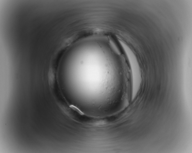 X0000099990456200805301416