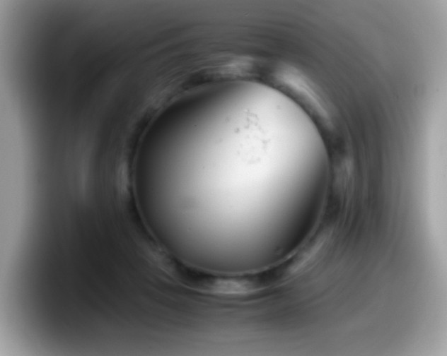 X0000099990457200805301416