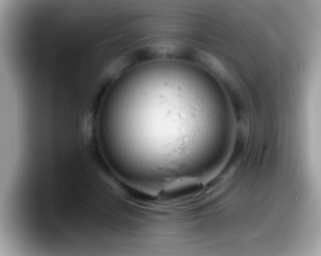 X0000099990458200805301416