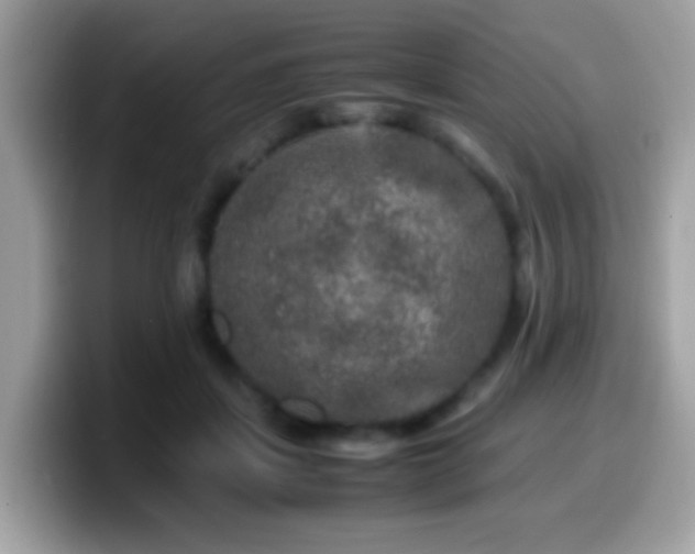X0000099990459200805301416