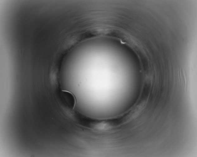 X0000099990460200805301416