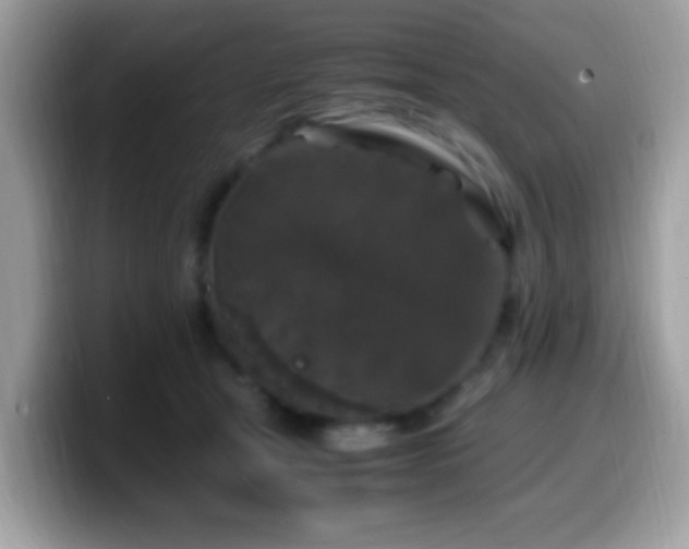 X0000099990465200805301416