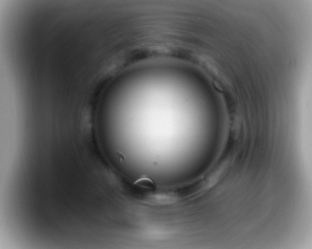 X0000099990466200805301416
