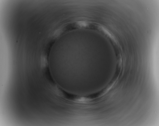 X0000099990467200805301416