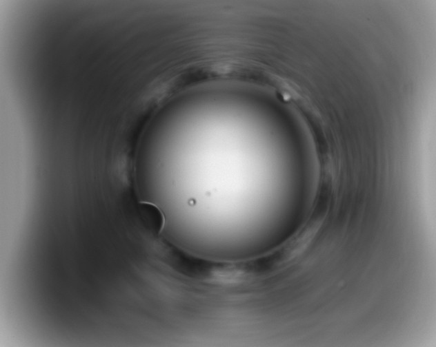 X0000099990470200805301416