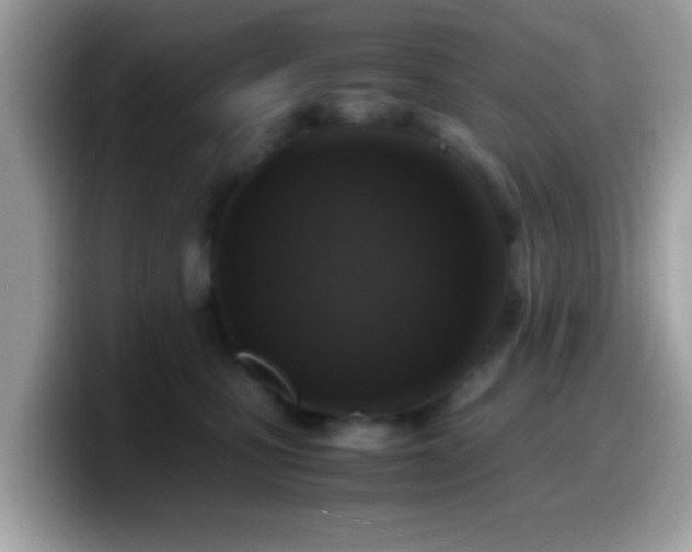 X0000099990471200805301417
