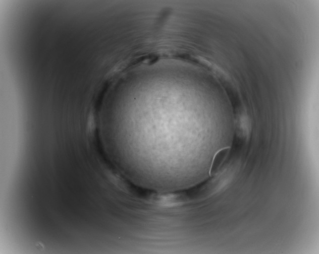 X0000099990472200805301417