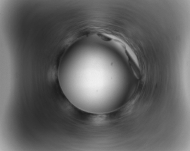 X0000099990474200805301417