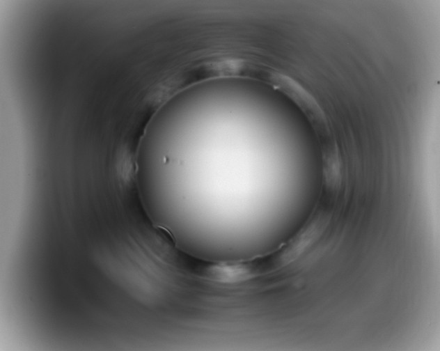 X0000099990477200805301417