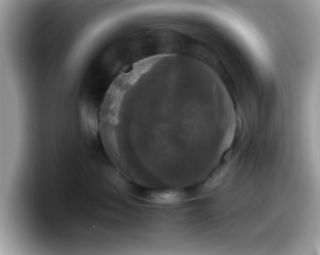 X0000099990479200805301417