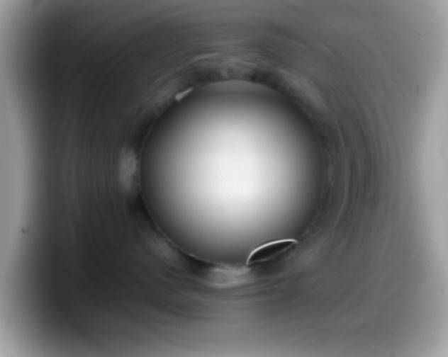 X0000099990480200805301417