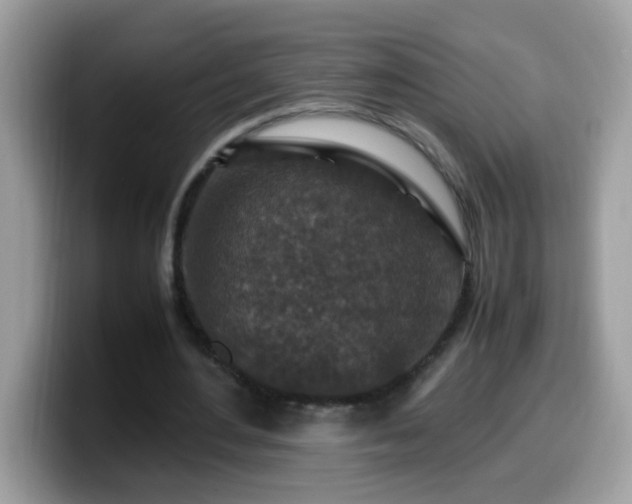 X0000099990484200805301416