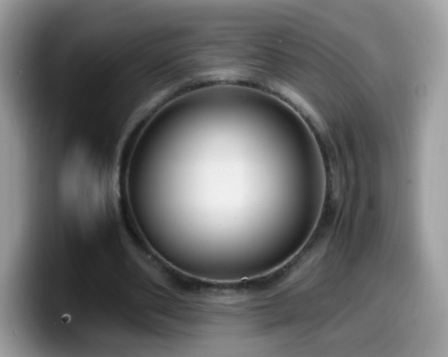X0000099990486200805301416