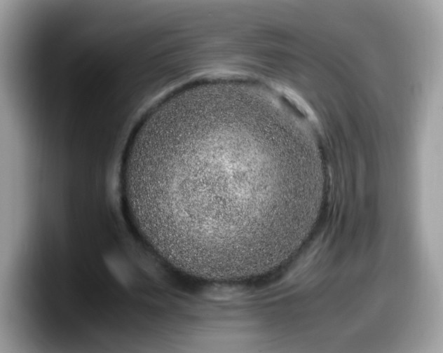 X0000099990487200805301416