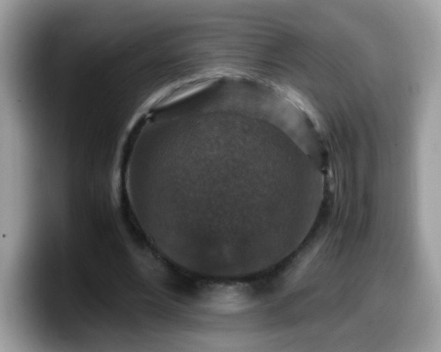 X0000099990488200805301416