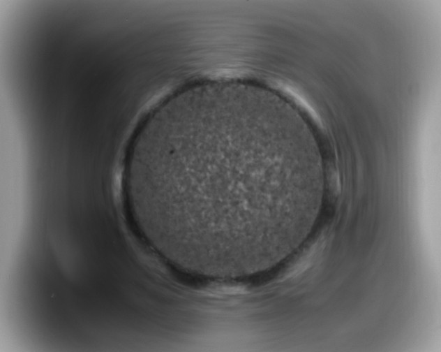 X0000099990491200805301416