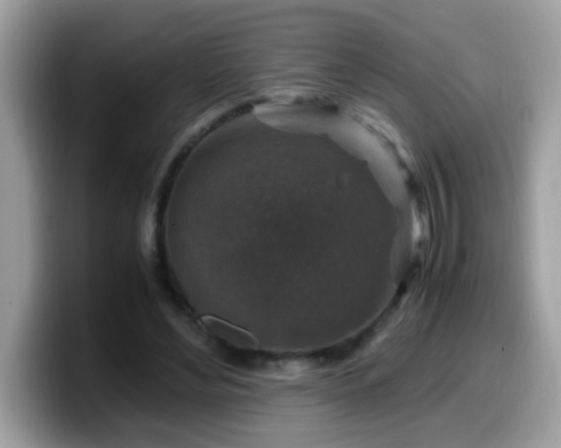 X0000099990492200805301416