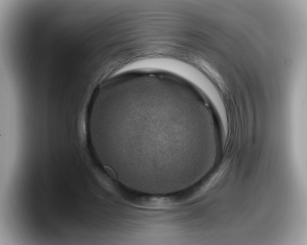 X0000099990493200805301416