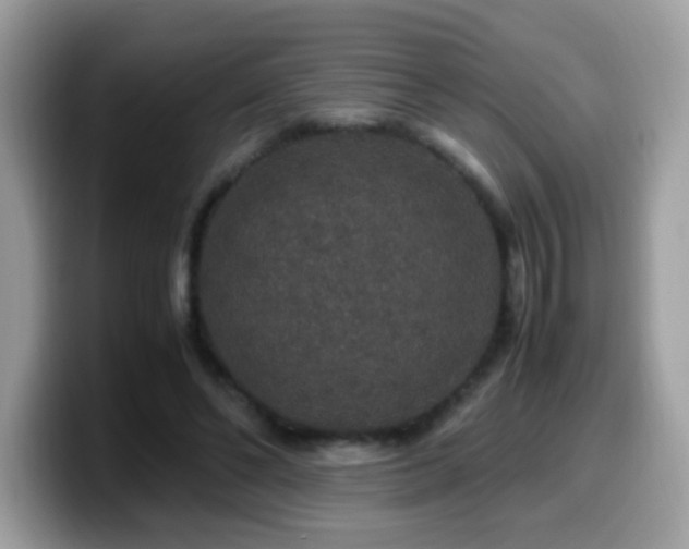 X0000099990494200805301416