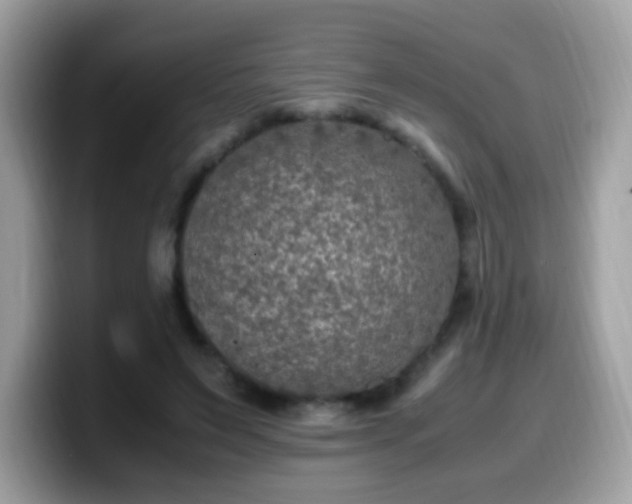 X0000099990495200805301416