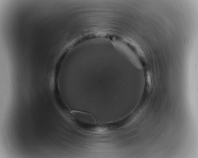 X0000099990496200805301416