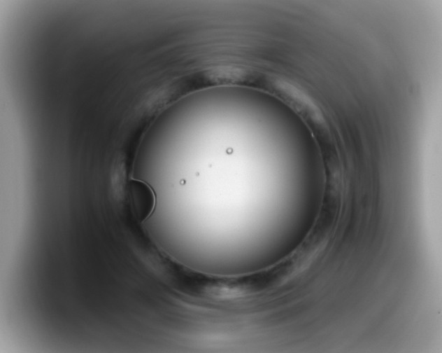 X0000099990498200805301416