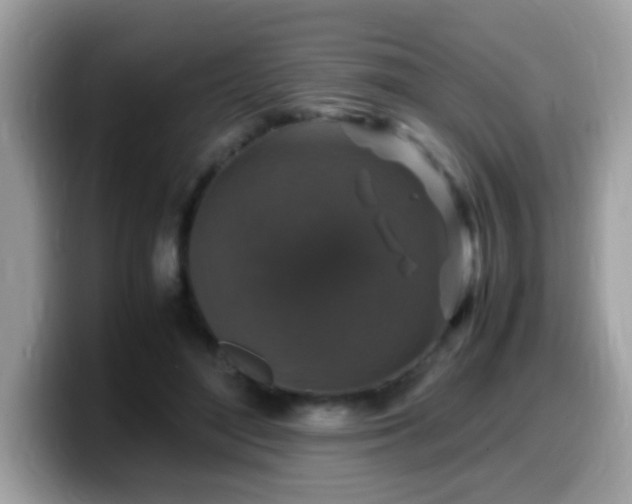 X0000099990500200805301416