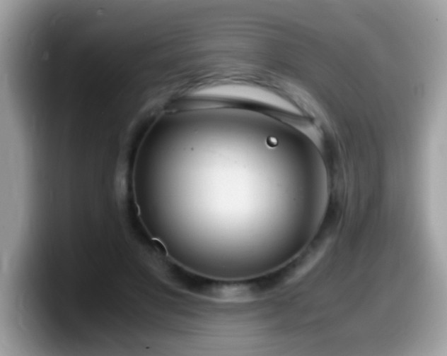X0000099990501200805301416