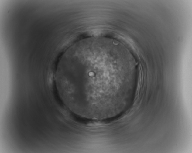 X0000099990503200805301416