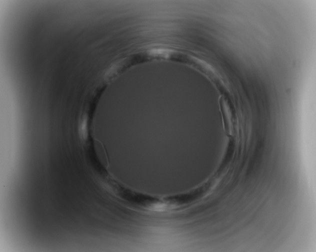 X0000099990504200805301416