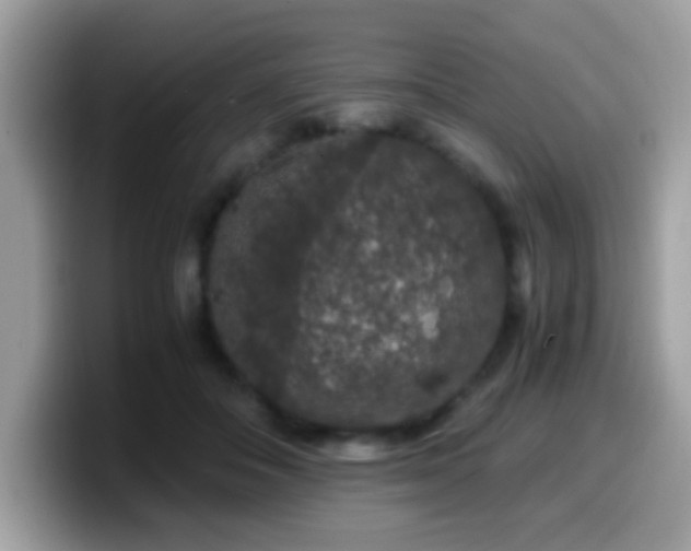 X0000099990506200805301416