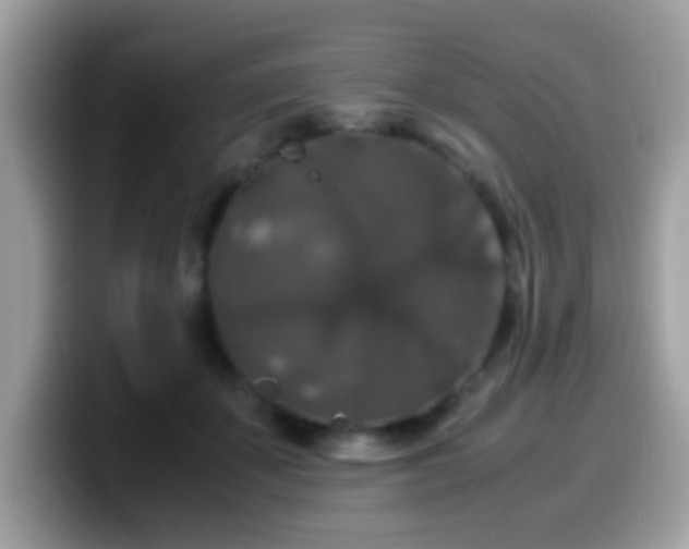 X0000099990507200805301416