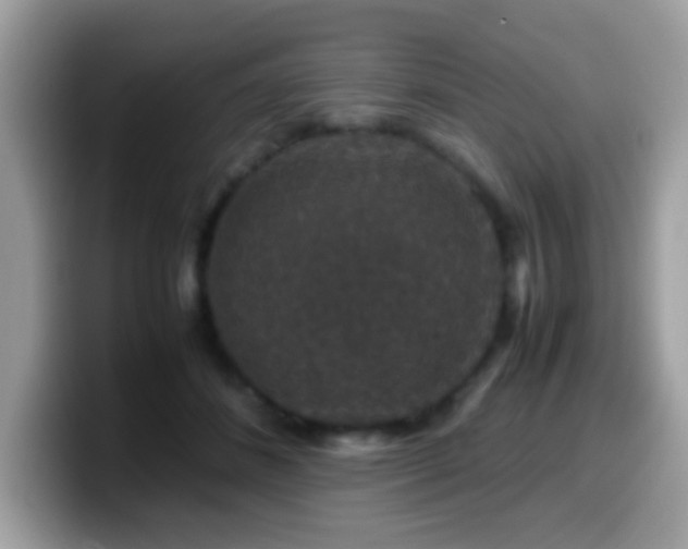 X0000099990508200805301416