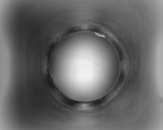 X0000099990509200805301416