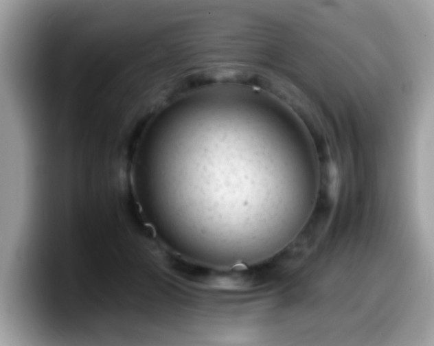 X0000099990510200805301416
