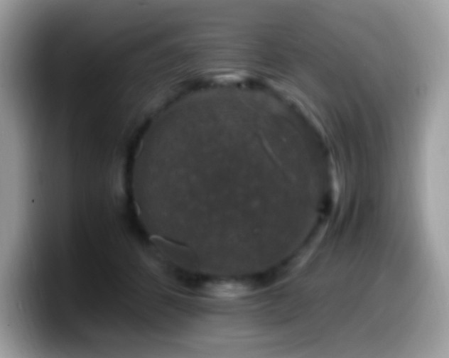 X0000099990512200805301416