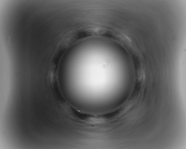 X0000099990515200805301416