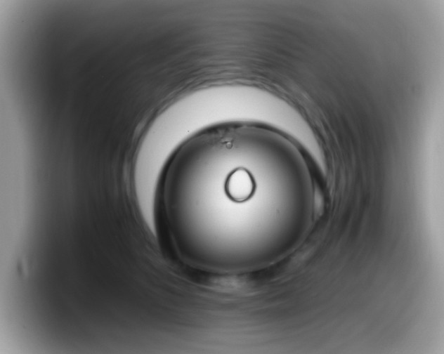 X0000099990516200805301416