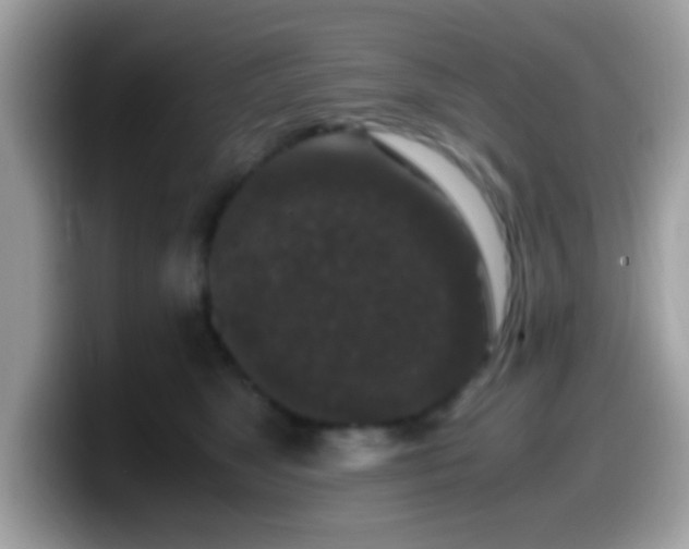 X0000099990517200805301416