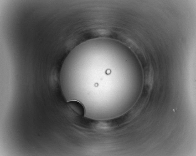 X0000099990518200805301416