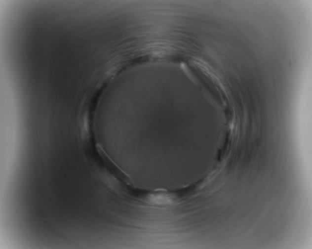 X0000099990520200805301416