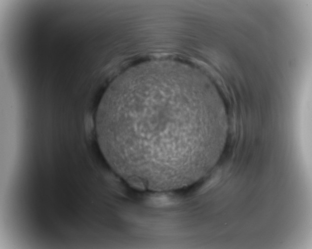 X0000099990523200805301415